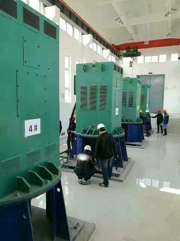 祁阳某污水处理厂使用我厂的立式高压电机安装现场