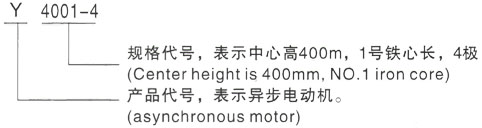 西安泰富西玛Y系列(H355-1000)高压祁阳三相异步电机型号说明